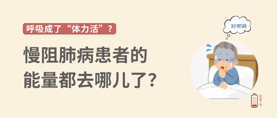 &#75;&#97;&#105;&#121;&#117;&#110;&#45;&#20013;&#22269;&#65288;&#23448;&#26041;&#32593;&#31449;&#65289;&#45;&#22269;&#23478;&#35748;&#35777;&#26381;&#21153;&#24179;&#21488;
